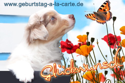 Geburtstagskarte zum Ausdrucken mit Blumen, Hund und Schmetterling