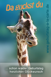 lustige Geburtstagskarte mit Giraffe