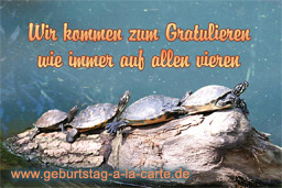 lustige Geburtstagskarte miz Schildkröten