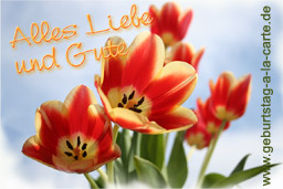 Schöne Geburtstagskarte mit Tulpen